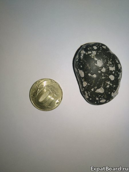 Lunar 月隕石